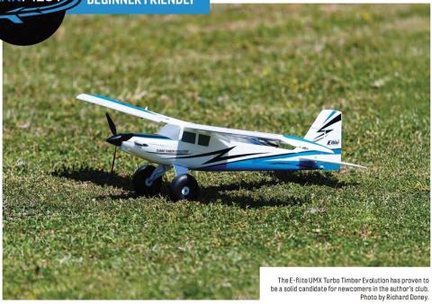 E-flite UMX Turbo Timber Evolution airplane sitting on grass